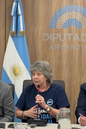 Comisión de Obras Públicas, Cámara de Diputados de la Nación- 25 de marzo de 2025