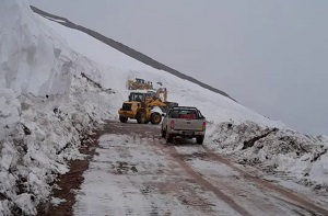 El Sindicato Trabajadores Viales denunció el desfinanciamiento de Vialidad Nacional y alertó sobre su impacto en el mantenimiento de rutas