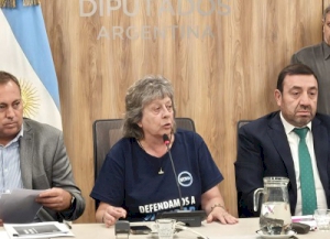 Los funcionarios de Vialidad Nacional de Milei no dieron la cara en Diputados
